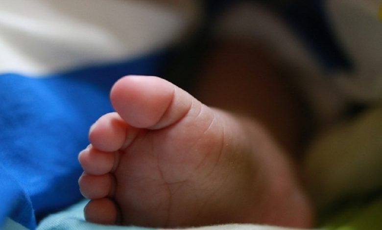 Two dogs are pulling with the body parts of a small child, noisy at Alipurduar