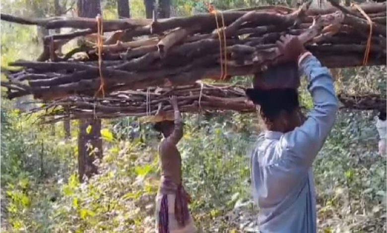 Patrolling by women forest workers to prevent firewood collectors in Duars