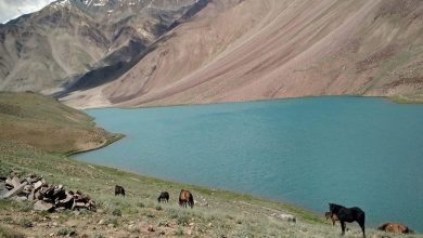 Love to trek? Take a tour from Himachal's Moon Lake