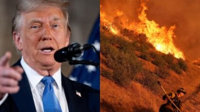 Trump blasted the local administration as a "scumbag" due to the devastating wildfires