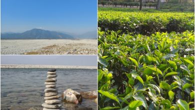 Mahua is the best destination for a tea garden picnic on one side of the river