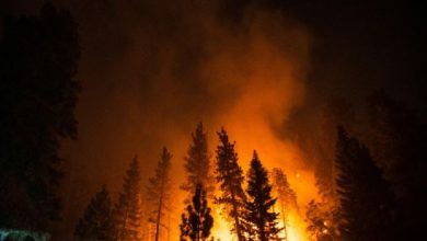 20 arrested for theft in Los Angeles, accused of looting amid fires
