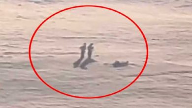 A surprising video of aliens appearing in the distance has gone viral on social media