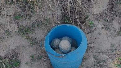 37 bombs recovered from Birbhum