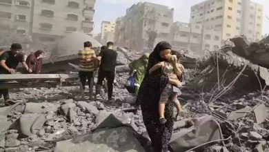 Delhi expresses concern over situation in Gaza, advocates release of Indian prisoners