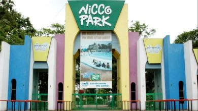 Special guests gather at nicco park before of summer