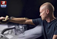 856 snake bites to create the world's most powerful antivenom!