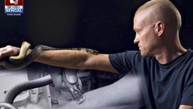 856 snake bites to create the world's most powerful antivenom!