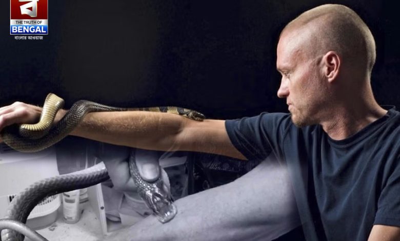 856 snake bites to create the world's most powerful antivenom!