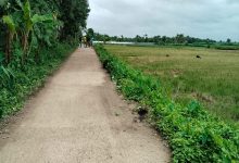 A farmer died after being electrocuted by a broken wire while picking fenugreek.