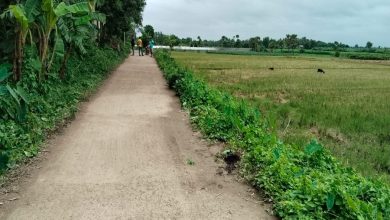 A farmer died after being electrocuted by a broken wire while picking fenugreek.