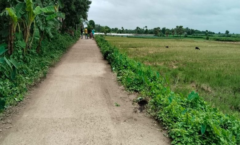 A farmer died after being electrocuted by a broken wire while picking fenugreek.