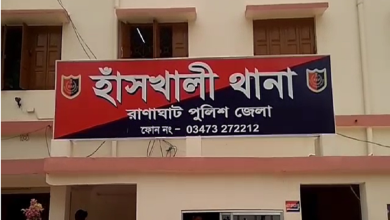 Bangladeshi woman arrested in Hanskhali raid