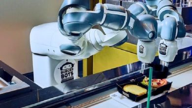 Robots are running restaurants! This is what is happening in reality, you will be surprised to know