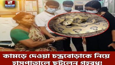 Snake Bite: Woman Catches Snake After Bite