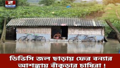dvc releases water fears of another flood farmers in bankura fear