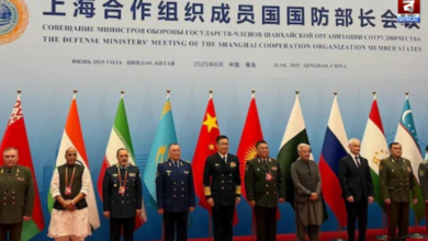 SCO controversy