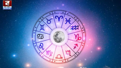 horoscope insights