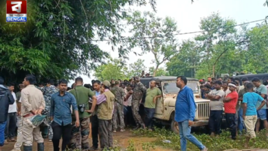 Tiger Intrusion: Royal Bengal Tiger Enters House