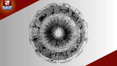 Astrological Guidance: Love, Career & Health Insights