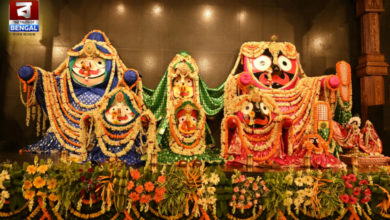 RathYatra Festival: Jagannath Festival Draws Massive Crowd