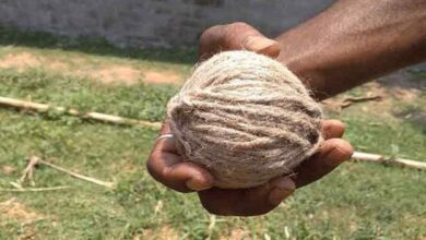 Land Dispute: Murshidabad Man Killed in Bomb Attack