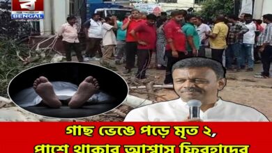 Tree Collapse: Tragic Tree Collapse at Howrah Municipal Office