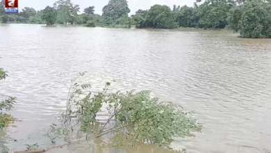 Kansabati flood alert
