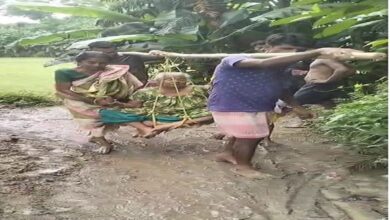 Rural Crisis: Woman Carried in Bamboo Cradle in West Midnapore