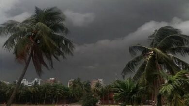 Monsoon Alert: Deep Depression Disrupts Bengal