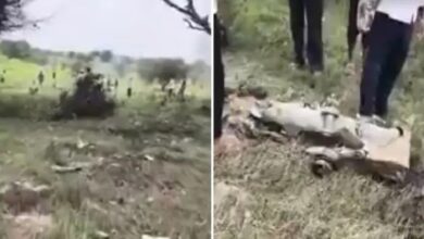 Jet Crash in Rajasthan's Churu, Shocking Video Surfaces