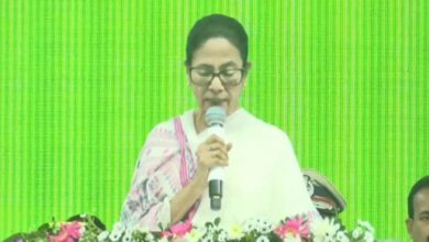Bridge Inauguration: CM Inaugurates Five Bridges Over Tangon