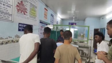 Leopard Attack: Tea Estate Worker Mauls in Dooars Bamboo