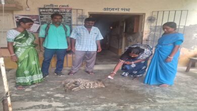 Fishing Cat: Fishing Cat Rescued in Patharpratima