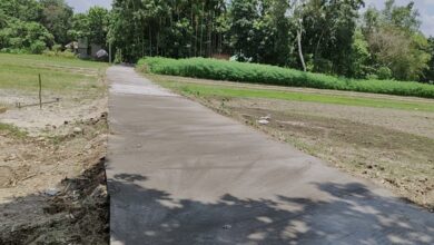 Rural Upgrade: Shyaltor 500 m Road Revival Empowers Gunjoria
