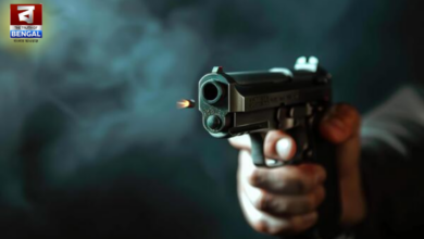 Political Violence: TMC Leader Shot Amid BJP Allegations