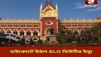 west-bengal-primary-teachers-blo-duty-high-court-case-2025