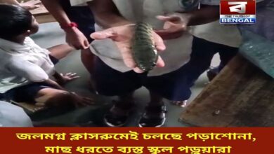 nadia-flooded-school-children-catch-fish-classroom