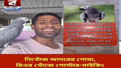 hooghly-missing-african-grey-parrot-rio-search