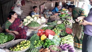 Price Control in India: Can the Government Curb Rising Costs?