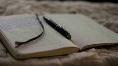 Nadia Tragedy: Diary Mentions ‘Orpita’ in Final Goodbye