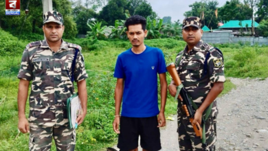 Border Arrest