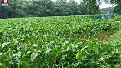Churni River
