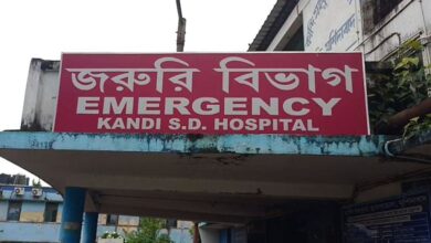 Roof Tragedy: Two Children Killed by Collapsing Overhang