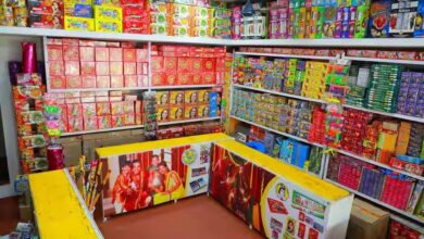 Firecracker Markets: 168 Firecracker Markets for Kali Puja