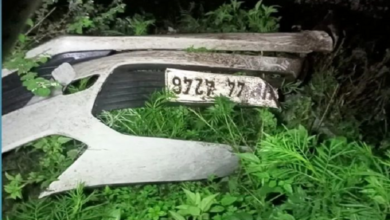 Himachal Pradesh Accident: 6 Killed as Car Falls into Gorge
