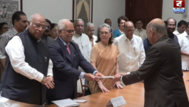 Vice president election