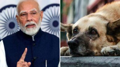 Stray Dog: Supreme Court vs PM Modi’s Call for Compassion