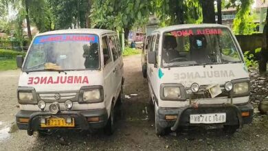 Elephant Fatality: Jalpaiguri Dooars Banarhat Block Tragedy