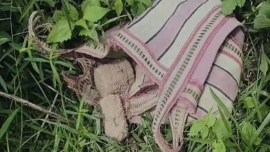 Bomb Recovery: Bag Full of Crude Bombs Seized in Murshidabad